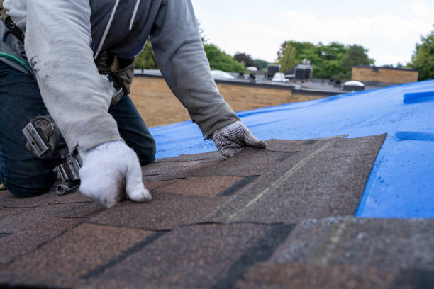 Roof Waterproofing Services in Estes Park, CO