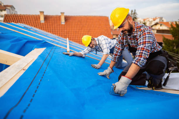 Best Flat Roof Repair Services  in Estes Park, CO
